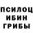 Псилоцибиновые грибы прущие грибы Danila 06