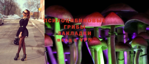 спиды Аркадак