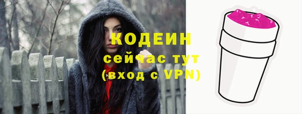 индика Арсеньев