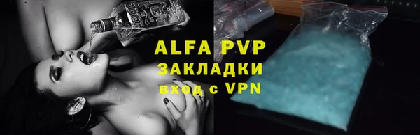 индика Арсеньев