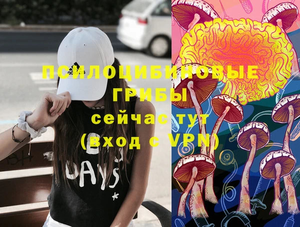 индика Арсеньев