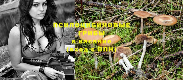 индика Арсеньев