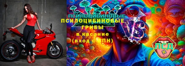 спиды Аркадак