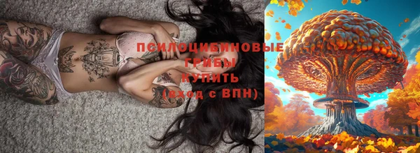 спиды Аркадак