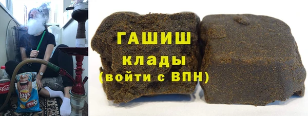 индика Арсеньев
